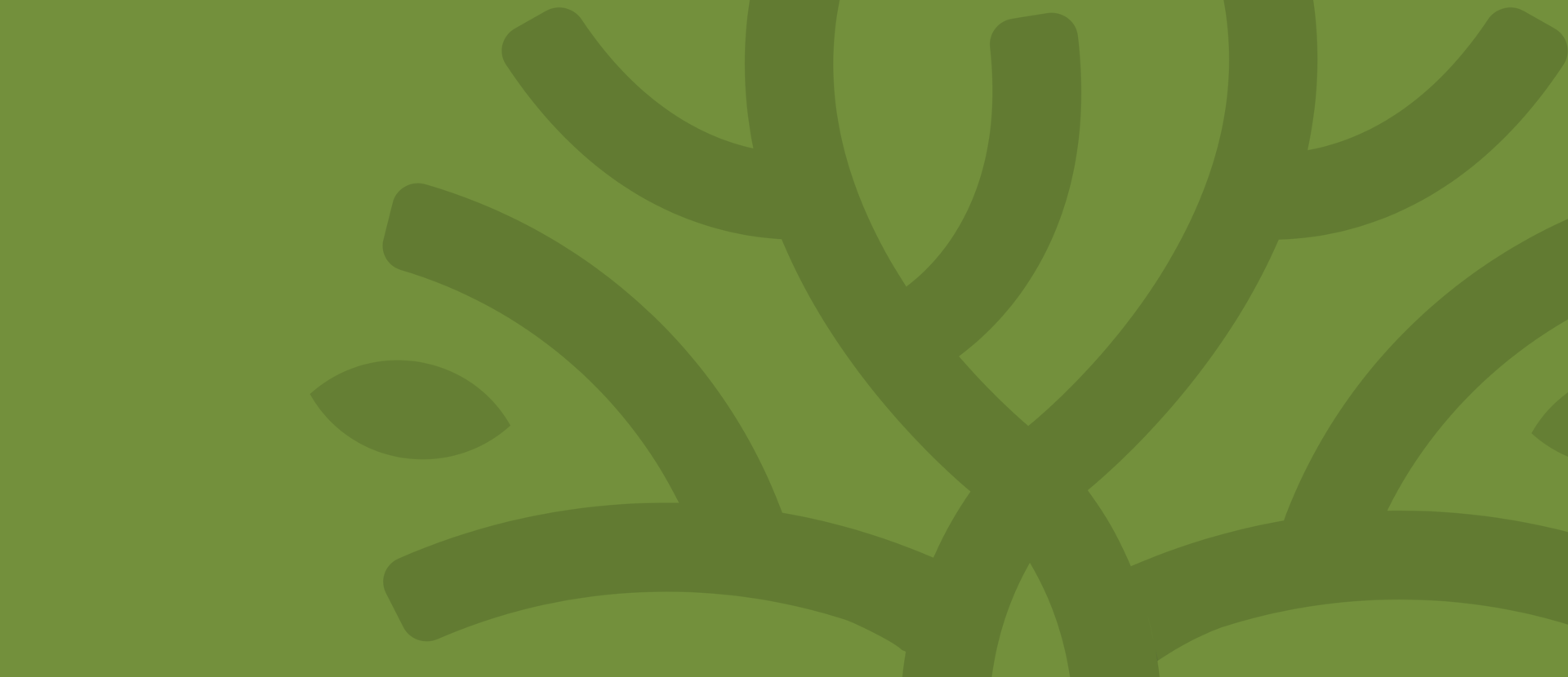 Steuerberatung_Schweitzer Steuerberatung_Schweitzer