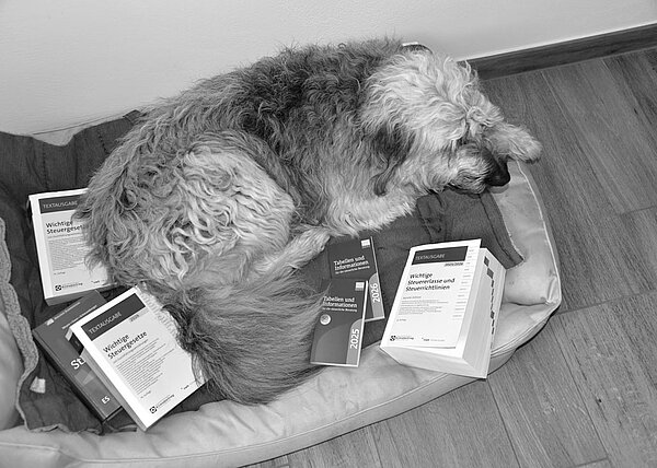 Lohnbuchhaltung_Eifel